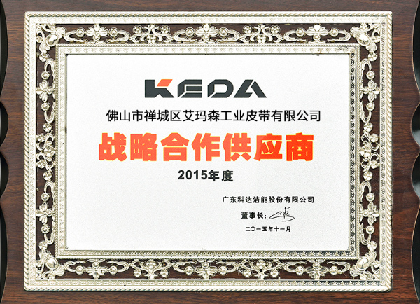 91官网2015年戰（zhàn）略合（hé）作供應商