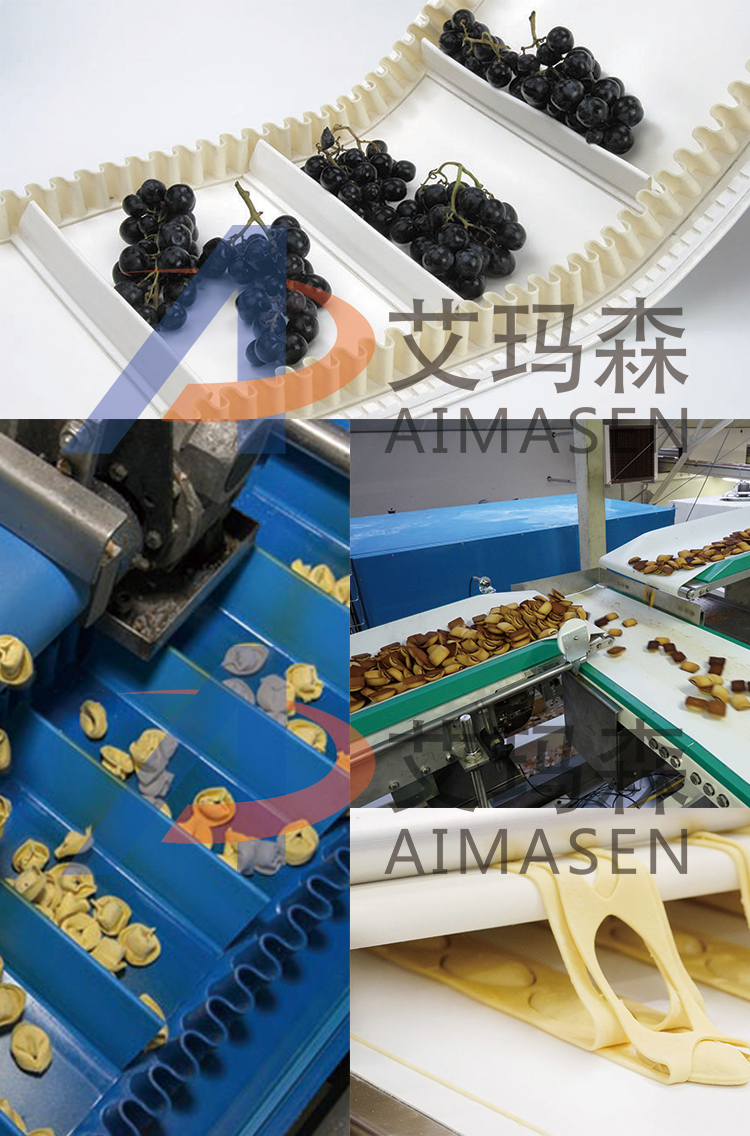 91官网食品輸送帶