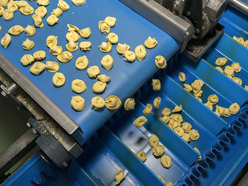 食品機機械輸送(sòng)帶 食品機機械輸送帶